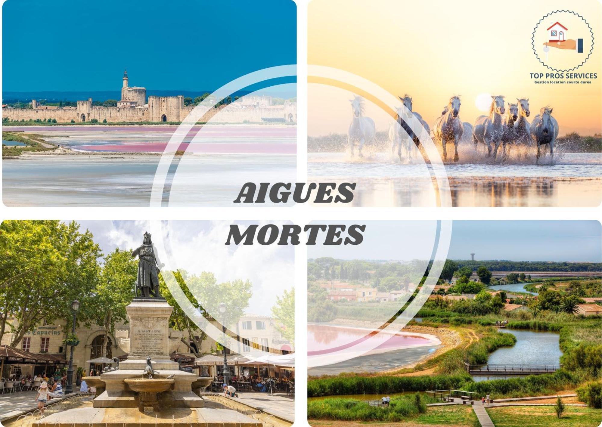 Apartment Les Marines Port 2 Min Camargue- Pros Services Conciergerie La Grande Motte